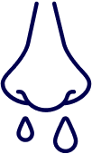 Icône de nez